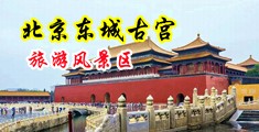 找欧美操逼的中国北京-东城古宫旅游风景区